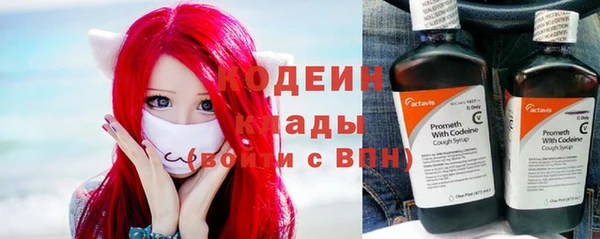 индика Новозыбков