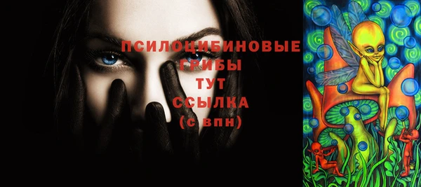 индика Нефтекумск