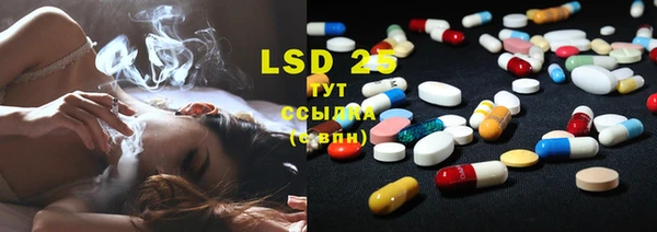 индика Нефтекумск