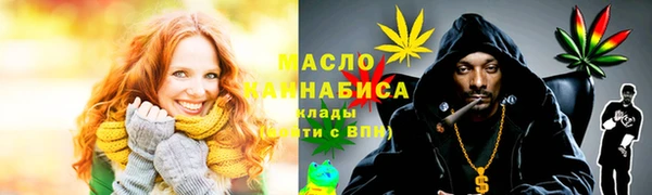 индика Новозыбков