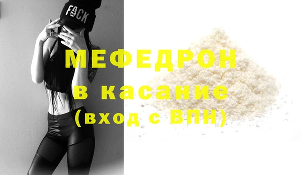 индика Новозыбков