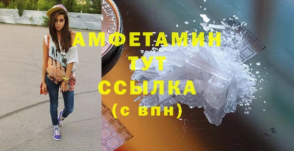 индика Нефтекумск