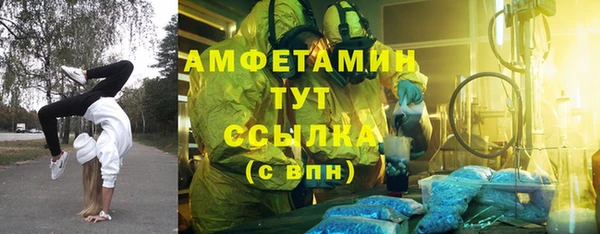 индика Нефтекумск