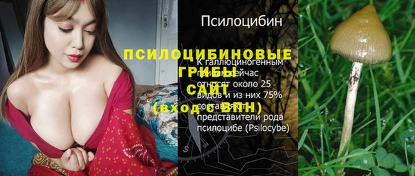 СК Нея