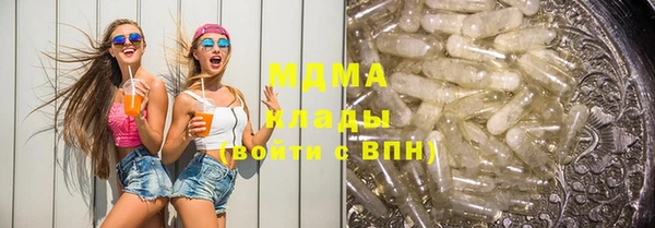 индика Новозыбков