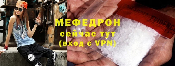 индика Новозыбков