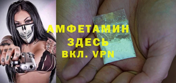 индика Новозыбков